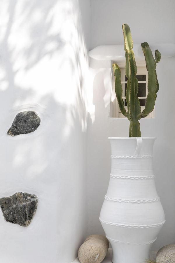 Vrissi House Garden Drafaki