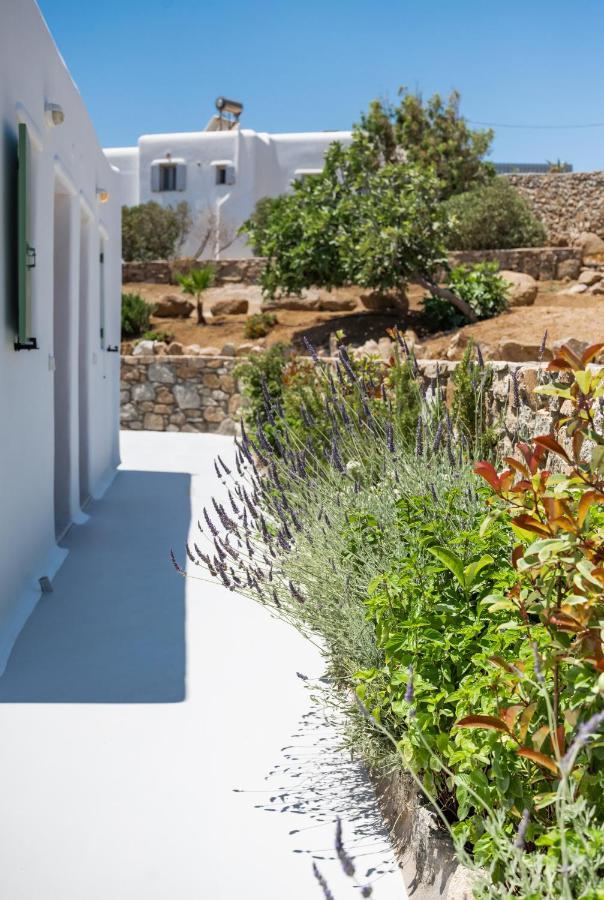 Dioni Mykonos * Strand Paraga