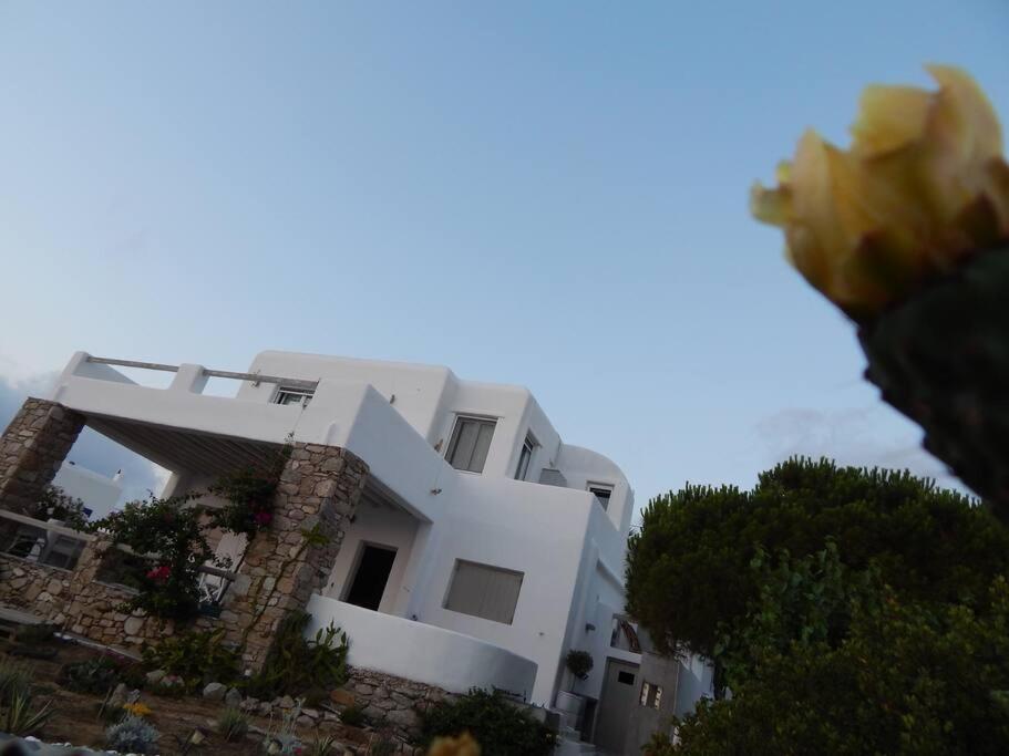 Magnolia,3bedrooms,great View. Holiday home Mykonos Town