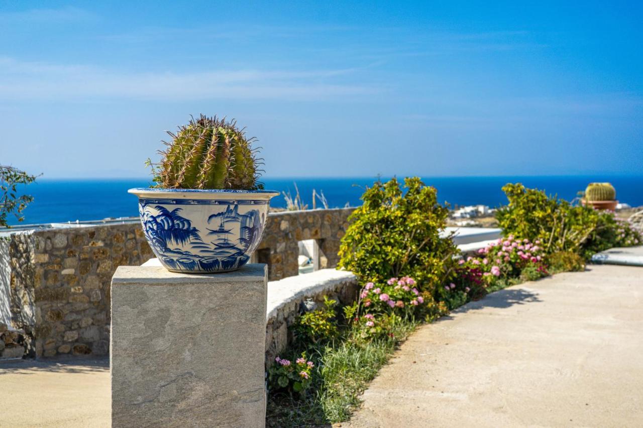 Oniropetra Mykonos Apartamento Plintri