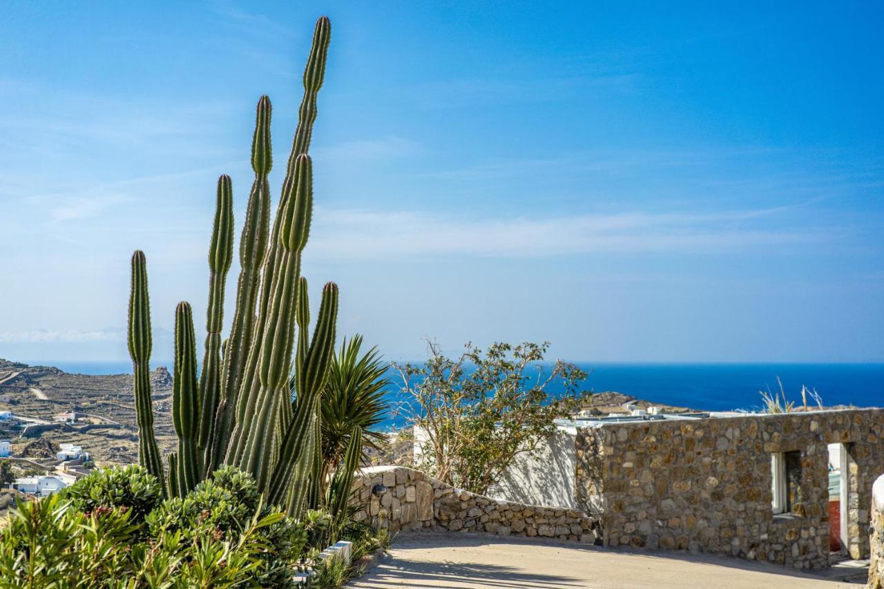 Oniropetra Mykonos Apartamento *