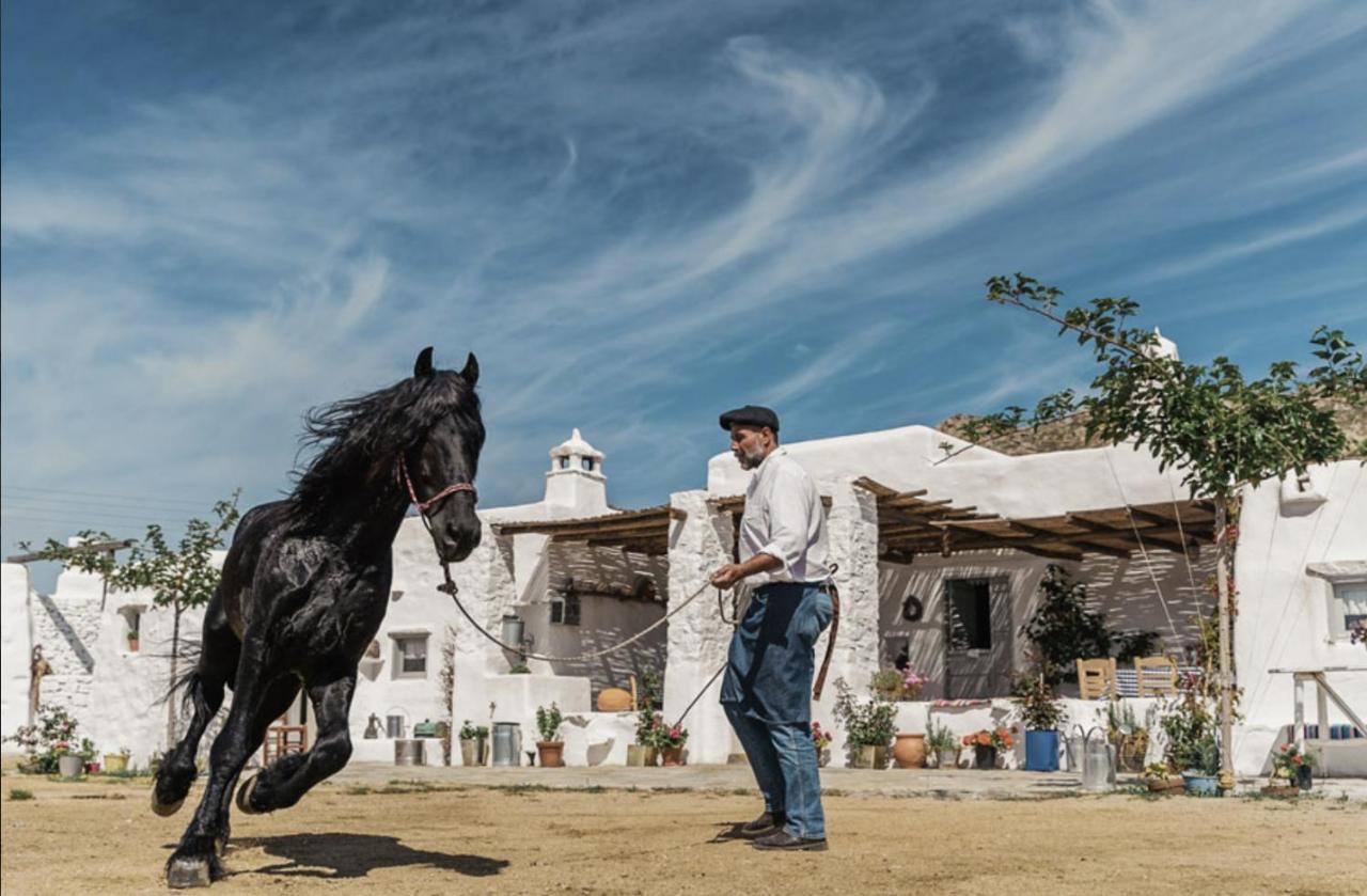 Rizes Mykonos - Folklore Farmstead Bauernhof *