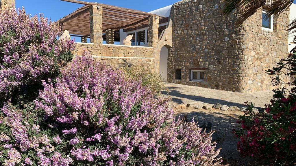 Neramar Ensuite & Swimming Pool Guest house Paradise Beach (Mykonos)