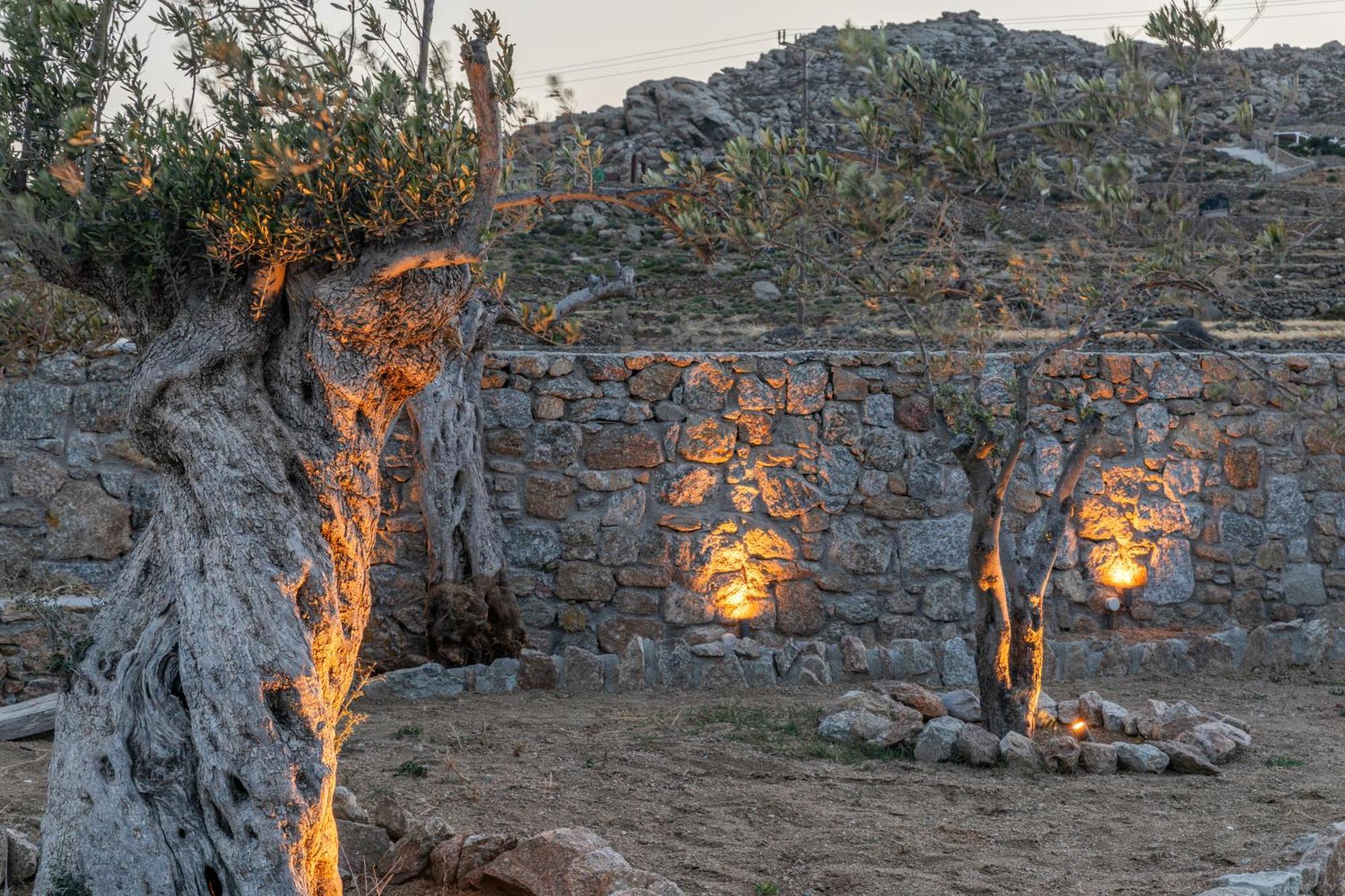 Citadel Natural Stone Villa *