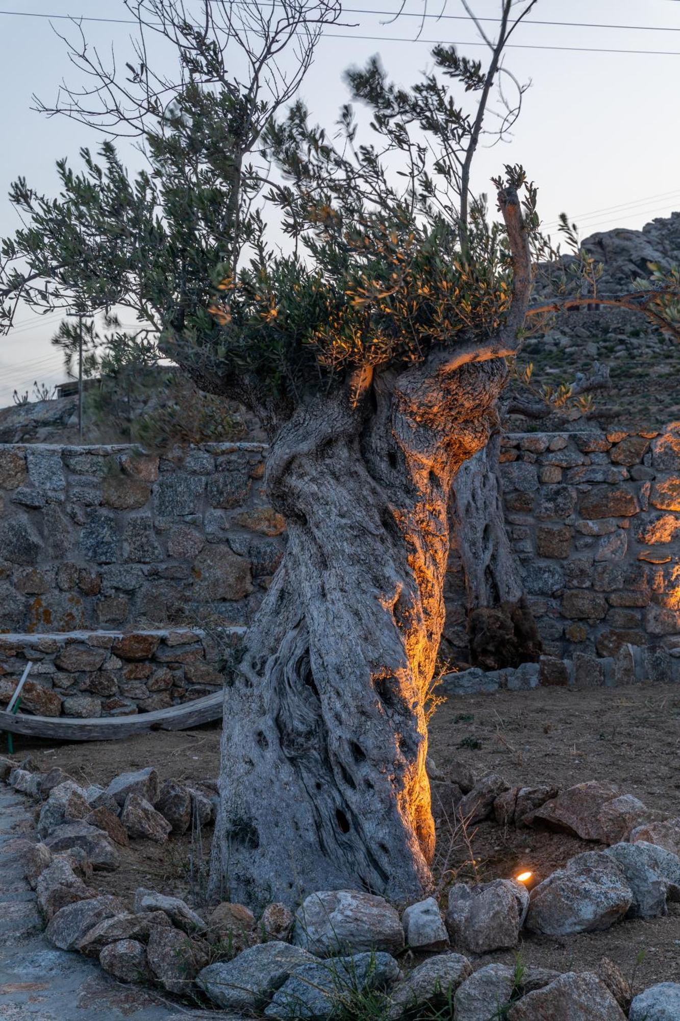Villa Citadel Natural Stone Mykonos Town