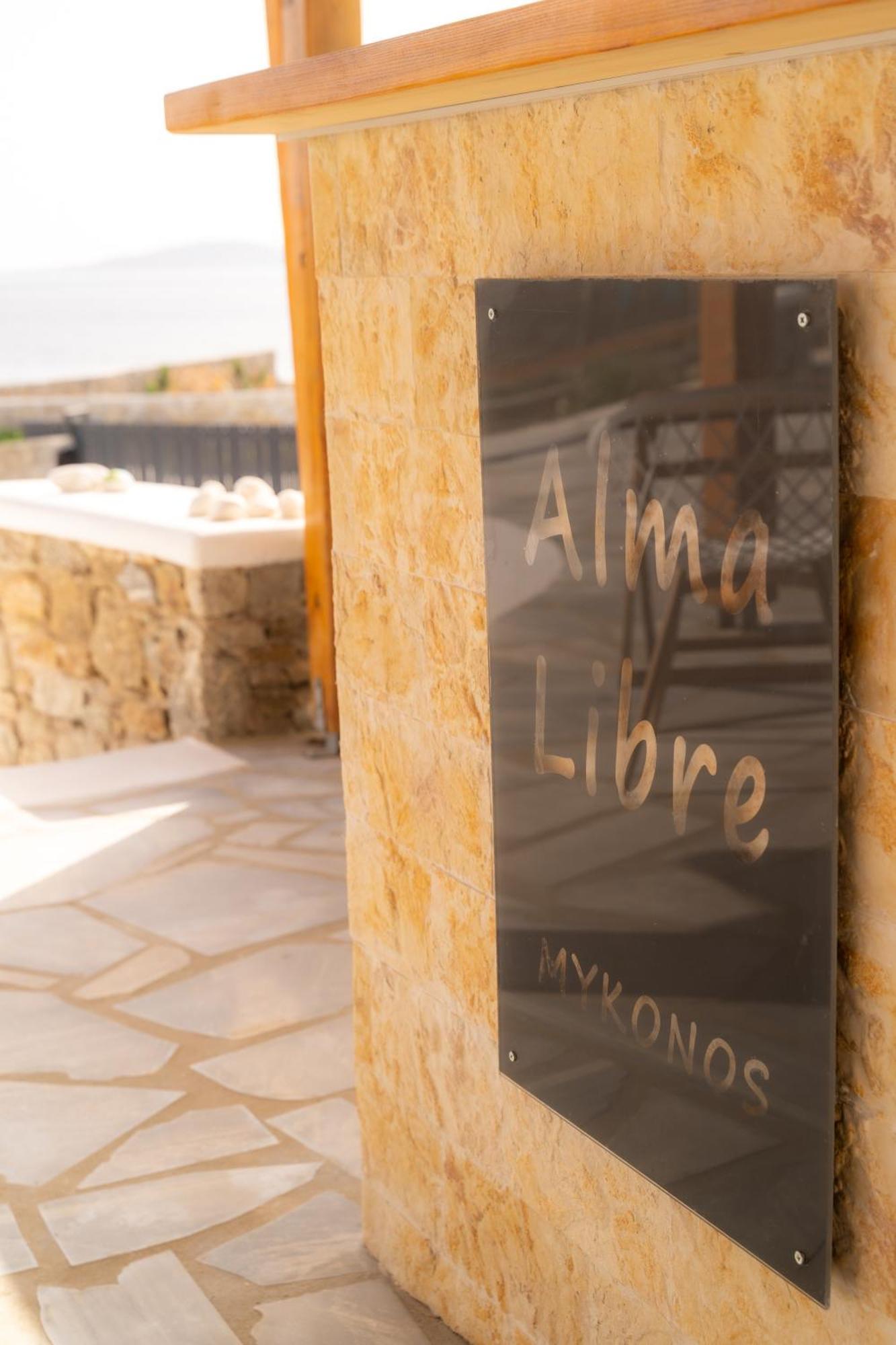 Sofia's Mykonos *