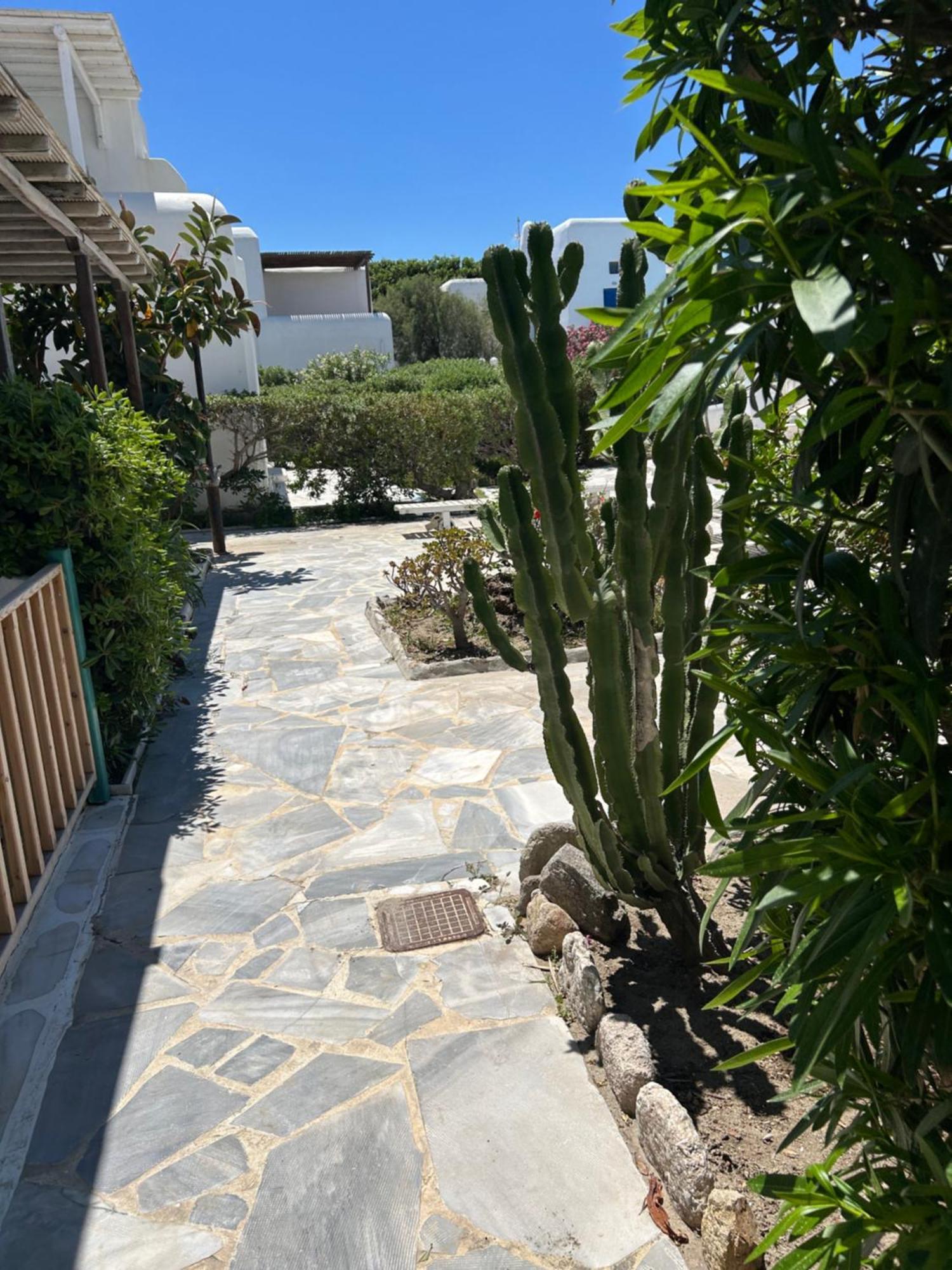 Luxury House With Swimming Pool In Mykonos Pousada Ornos (Mykonos)