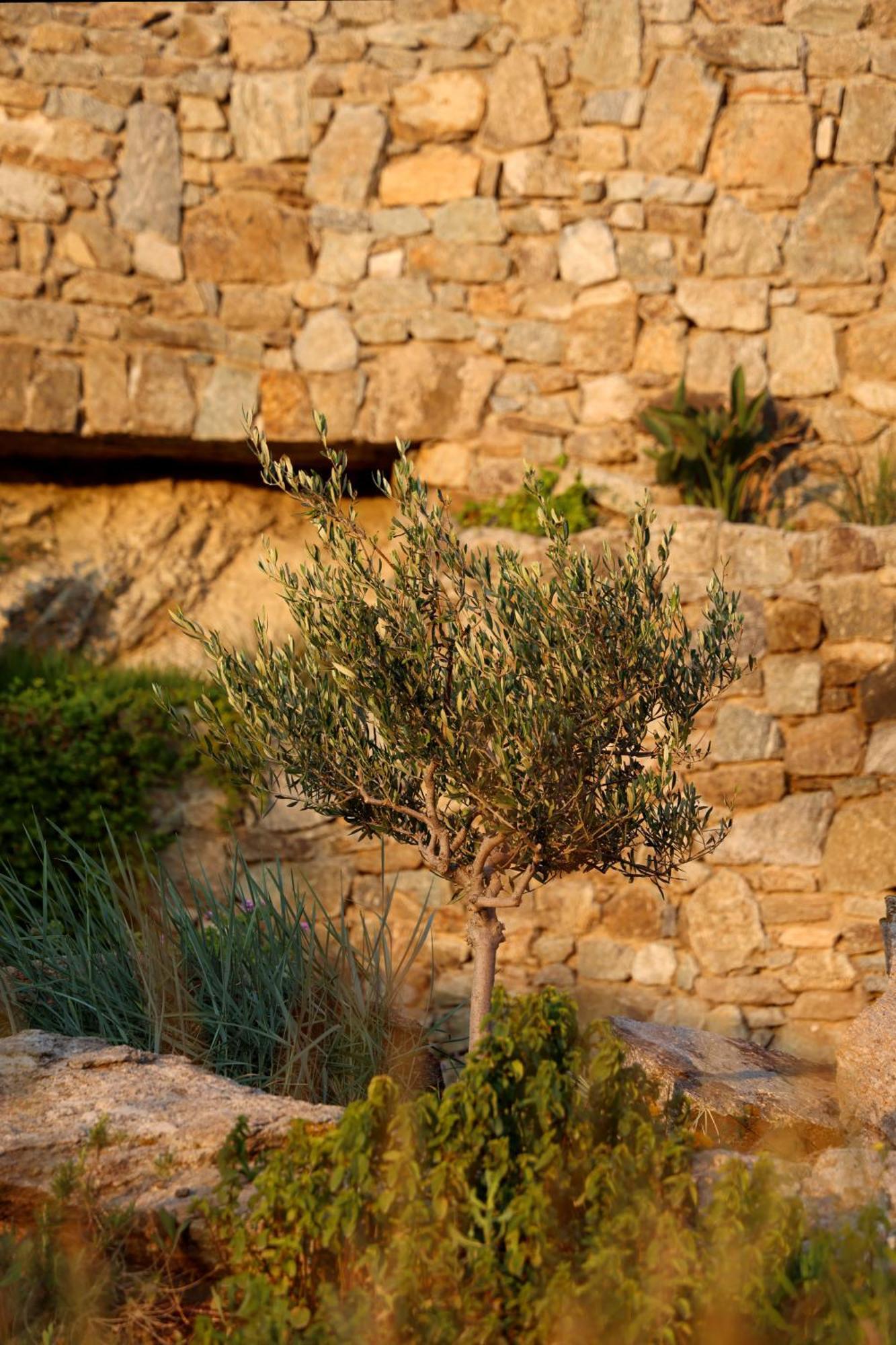 Aparthotel Ortygia *