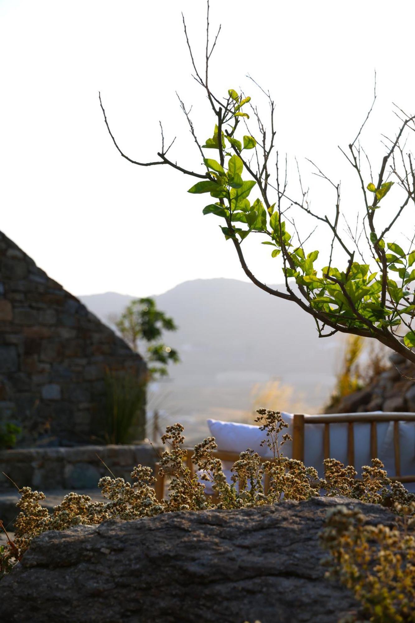Ortygia Aparthotel Mykonos Town