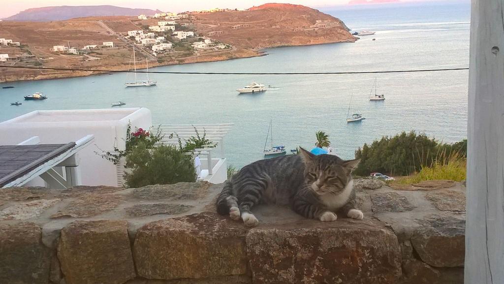 Beachfront Amazing Views Mykonos *
