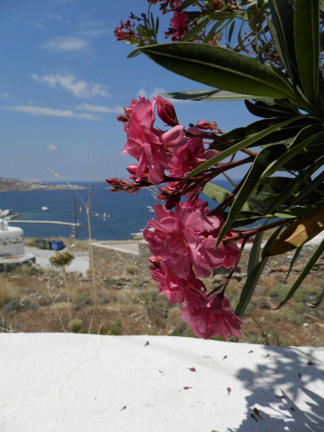 Maroulinas Boutique & * Mykonos Town