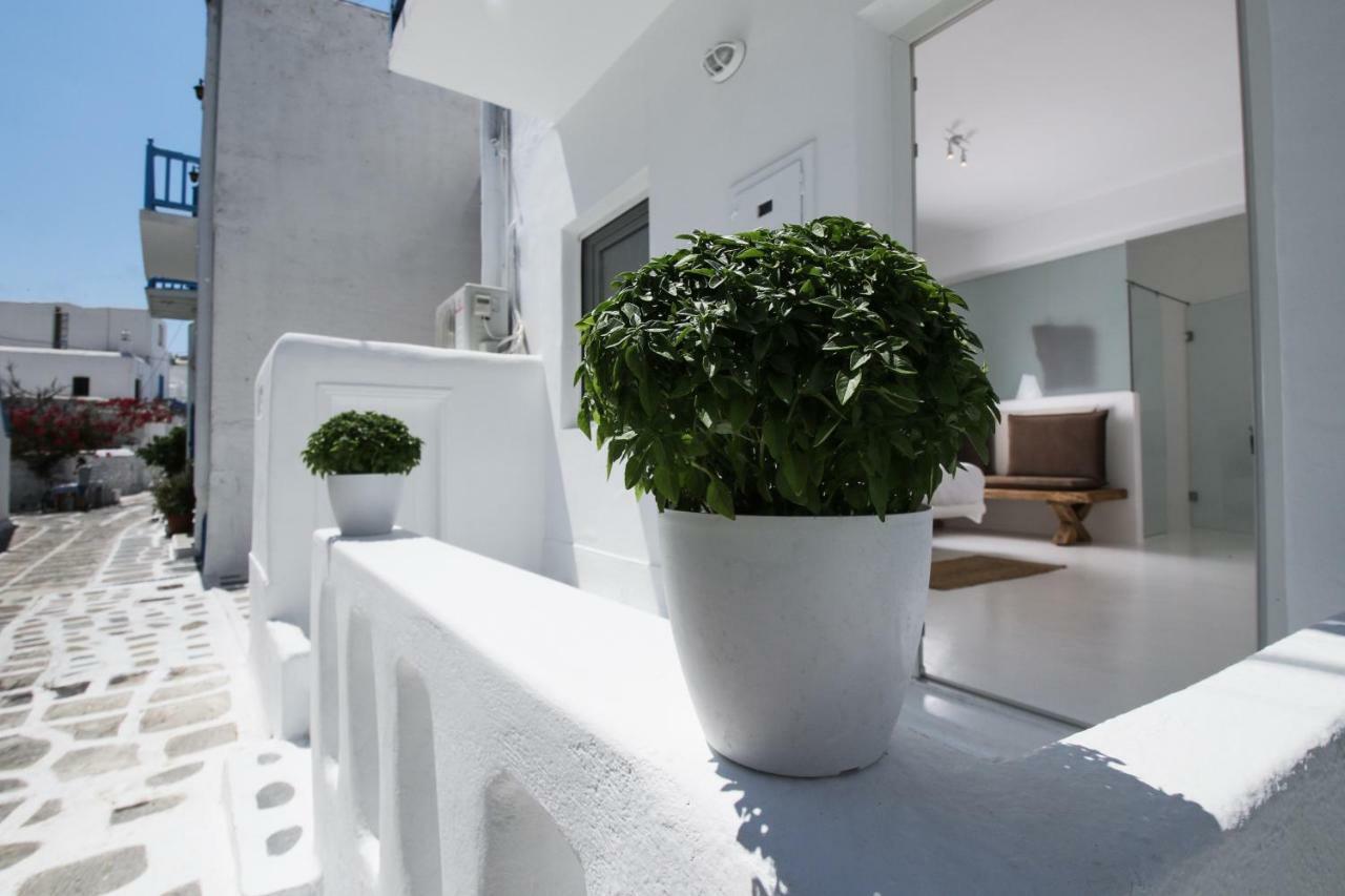 Casa de hóspedes Arktos White *