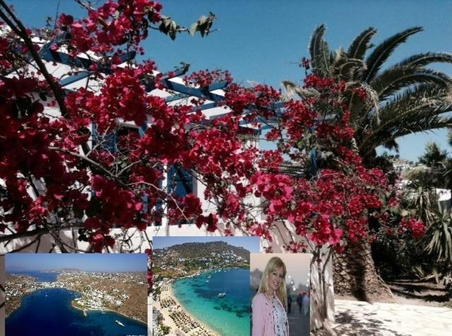 Casa de férias Magical Ornos! House!beach 1' Walk-mykonos Town 2km Mykonos Town